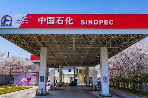中國石化37周年慶 在能源領(lǐng)域譜寫華章，租賃市場見證發(fā)展足跡