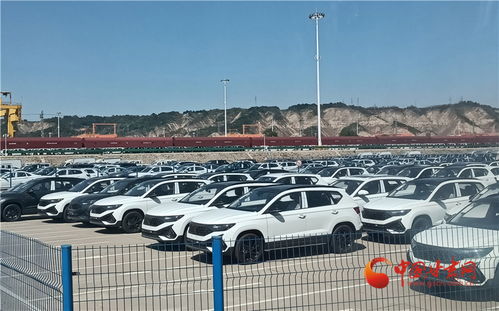 做強(qiáng)蘭州樞紐品牌，構(gòu)建高質(zhì)量發(fā)展快速引擎——房屋租賃助力城市新升級